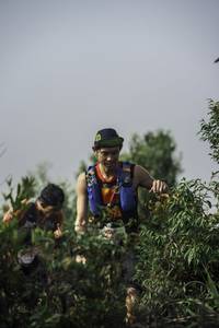 BIB: 
                            <button type="button" onclick="openModal(24733738)" class="btn btn-primary btn-sm float-right btn-popup" data-toggle="modal" data-target=".modal-high-quality">
                        <i class="fas fa-shopping-cart"></i> Add to Cart
                    </button>
                                            <button type="button" onclick="isThisMe(24733738, true)" class="btn btn-success btn-sm float-right btn-popup btn-isme hidden" data-toggle="tooltip" data-placement="bottom" title="นี่คือรูปของคุณใช่ไหม คลิกที่นี่เพื่อเอาเข้าอัลบั้ม">
                        <i class="fas fa-plus"></i> Add to album
                    </button>
                    <button type="button" onclick="isThisMe(24733738, false)" class="btn btn-warning btn-sm float-right btn-popup btn-isnotme hidden">
                        <i class="fas fa-ban"></i> Remove from album
                    </button>